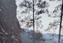 चमोली जनपद में वाहन दुघर्टना होने से तीन लोगों की मौके पर ही मौत।