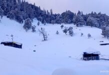 DGRE के पूर्वानुमान के बाद रुद्रप्रयाग में बर्फवारी/हिमस्खलन की आशंका, जिला प्रशासन ने जारी की एडवाइजरी